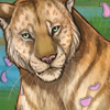 A Tigon Temptress